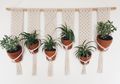Hobi Buat Kerajinan Tangan? Gantungan Pot dan Pajangan Jadi Makin Cantik dengan Seni Makrame!