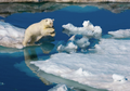 Tak Hanya Pemanasan Global, Hal Ini Sebabkan Gletser Greenland Mencair