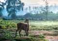Ke Bandung, Jangan Lupa Kunjungi 5 Destinasi Wisata Terbaru Ini!