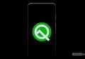 Google Kembali Sisipkan Game Sederhana Tersembunyi di Android Q