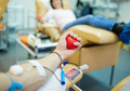 Darah Donor Sukses untuk Penyembuhan Pasien Covid-19, Bisa Digunakan Sebagai Terapi Kecantikan