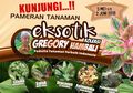 Liburan Ramadhan di Mekarsari dengan Kunjungi Pameran Tanaman Hias Eksotik, Koleksi dan Karya Greg Hambali