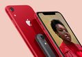 Apple Tak Lagi Jual iPhone 12 Pro, iPhone 12 Pro Max, dan iPhone XR