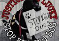 Viral Seekor Anjing Dibakar Hidup-hidup oleh Oknum Ojol: Orang yang Suka Menyiksa Hewan Miliki Ciri-ciri Psikopat