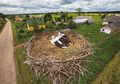 Misteri Alam yang Belum Terungkap: Bisakah Burung Mendeteksi Gempa?