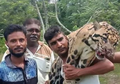 Tak Punya Hati, Segerombolan Pria Ini Bangga Foto Sambil Gendong Mayat Macan Tutul di Malaysia
