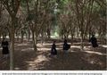 Kisah Kota Misterius dengan Kedamaian yang Tiba-tiba Terusik Karena Isu Anak Gadis Mereka Diperkosa 'Iblis'