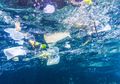 Diet Plastik dengan 5 Langkah Mudah Ini untuk Lindungi Bumi