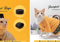Jelang Lebaran, Toko Ini Sediakan Baju Hari Raya Khusus untuk Kucing