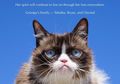 Sedih, Si Kucing Pemarah 'Grumpy Cat' Meninggal setelah Alami Komplikasi Kesehatan