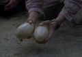 Lagi Jalan-jalan, 4 Mahasiswa Temukan Telur Dinosaurus yang Berubah