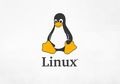 Jauh Lebih Murah, Korea Selatan akan Ganti Windows dengan Linux