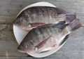 Jadi Santapan Favorit Rakyat Indonesia, Nyatanya Ikan Mujair Malah Berbahaya Bagi Tubuh, Salah Ternak, Bisa Jadi Makanan Pemicu Kanker