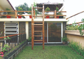 Roof Garden Ternyata Dapat Kurangi Polusi Suara hingga Mereduksi Temperatur Udara!