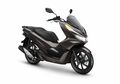 Muncul Petisi Penarikan Kembali PCX Karena Dianggap Bermasalah, Begini Tanggapan Diler Honda