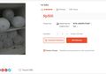 Viral Online Shop Jual Es Batu lewat E-Commerce, Ini Fakta di Baliknya