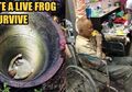 37 Jam Terjebak di Dalam Sumur, Seorang Kakek Harus Makan Hal Ekstrem Ini demi Bertahan Hidup