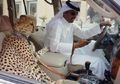 Harganya Tembus Rp400 Juta, Inilah Alasan Mengapa Orang Kaya Memelihara Cheetah