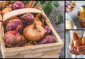 Hanya dengan Bawang, Yuk Atasi Berbagai Masalah Berikut, Termasuk Mengatasi Luka Bakar