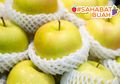 Jaring Empuk Putih yang Biasa Ditemukan Saat Membeli Buah Ternyata Memiliki Manfaat Anti Bakteri