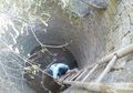 (VIDEO) Dengar Tangisan dari Sumur 12 Meter, Cowok Ini Temukan Beruang Sloth di Dalamnya