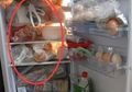 Jangan Lagi Dilakukan, Simpan Makanan Bersama Plastiknya di Kulkas Seperti Menimbun Penyakit, Gantilah dengan Cara Ini