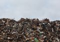 Termahal di Dunia, Sampah dari Patung Ini Punya Nilai Hingga Rp 14 Miliar