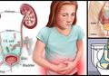 Sakit Saat Buang Air Kecil? 6 Faktor Ini Mungkin Jadi Penyebabnya