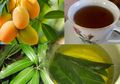 Demi Cegah Komplikasi, Ini 5 Minuman Terbaik Untuk Penderita Diabetes
