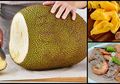 7 Manfaat Menakjubkan Nangka, Bisa Jadi Andalan Penyembuh Maag Juga!