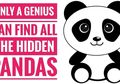 Latih Ketelitian dan Fokus dengan Bermain Mencari Panda Tersembunyi! Siap Mencoba?