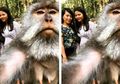 Banyak Netizen Terkecoh, Ini Fakta Di Balik Foto Viral Kera Ubud yang Selfie dengan Turis