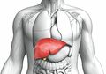 Ini 9 Tanda Hati Anda Bermasalah Besar, dari Lelah Hingga Gatal Terus-Menerus
