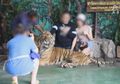 Fakta Memilukan Kebun Binatang, Hewan-hewan Dipaksa Tunduk Oleh Pawang Dengan Trik Kejam