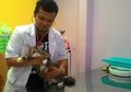 Mau Jadi Dokter Hewan? Ini Hal-hal yang Harus Lo Perhatikan. Nggak Harus Sayang Hewan, Kok