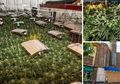 Terletak Di Dalam Sebuah Gedung di Tengah Kota, Inilah Kebun Ganja Terselubung Bernilai Rp50 Milliar