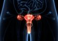 Tak Terhindarkan, 10 Hal yang Terjadi pada Vagina Setelah Melahirkan