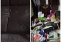 Tinggalkan Rumah Untuk Mudik Lebaran, Keluarga Ini Kaget Saat Tahu Ada Pencuri Makan Jelly di Rumahnya