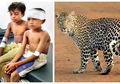 Kerad Banget! Bocah Ini Tarung Lawan Macan Tutul Demi Selamatin Adiknya