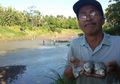 Sungai Mengering, Warga Kulon Progo Ramai-ramai Tangkap Ikan
