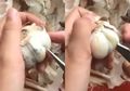 Hanya Butuh Waktu Beberapa Detik Saja, Inilah Trik Rahasia Mengupas Bawang Putih Tanpa Menyentuh Kulitnya