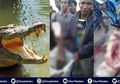 Warga Merinding Bongkar Perut Buaya Buncit, Isinya Potongan Tubuh Manusia, Diduga Inilah Sosok Korbannya