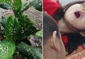 Sering Ditanam Orang Indonesia, 'Bunga Bahagia' Ini Ternyata Amat Berbahaya, Gadis Ini Jadi Korbannya