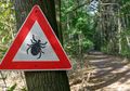 Virus Misterius Menyebar di Tiongkok, Diduga dari Gigitan Kutu