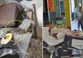 Seorang Pria Berteriak Kesakitan di Kamar, saat Keluarganya Memeriksa Ternyata Ada Ponsel yang Meledak