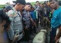 Viral, Detik-Detik Warga Riau Histeris Angkat Potongan Tubuh Manusia dari Perut Buaya Buncit