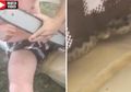 Ular Mematikan Tiba-tiba Menyelinap ke Dalam Celananya, Pria Ini Tetap Santai Sambil Merokok, Ini yang Terjadi Kemudian