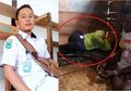 Lewat Sepucuk Surat, Inilah Pesan Teakhir Mantri Patra Sebelum Ditemukan Tewas di Pedalaman Papua