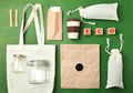 Dari Tote Bag Hingga Bioplastik, Mana Kantung Belanja yang Lebih Ramah Lingkungan?