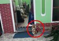 Kisah Sedih Kucing Jalanan yang Ditinggal Meninggal Majikannya